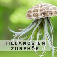 Pflegeprodukte