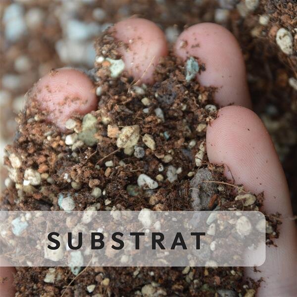 Substrate &amp; Erden