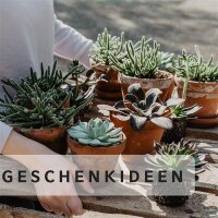 Geschenkideen