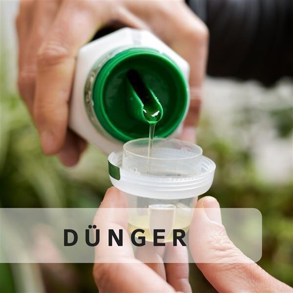 Dünger