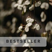 Bestseller