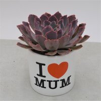 I love Mom - Übertopf