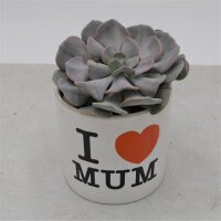 I love Mom - Übertopf