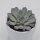 Echeveria cuspidata var. gemmula - 5,5cm