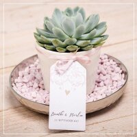 Übertopf CREME für 6cm Sukkulenten