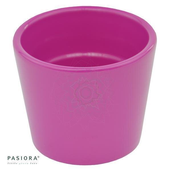 Übertopf, FUCHSIA für 6cm Sukkulenten