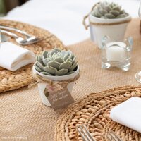 Succulent Give aways