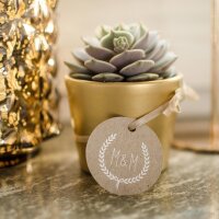 Succulent Give aways
