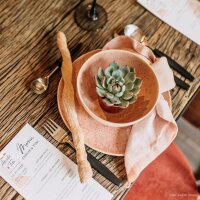 Succulent Give aways