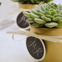 Übertopf GOLD für 6cm Sukkulenten