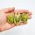 Set: Cotyledon