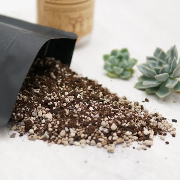 Premium Pre-mixed Succulent Soil