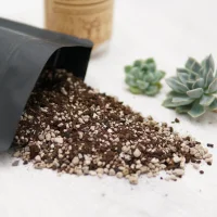 Premium Pre-mixed Succulent Soil