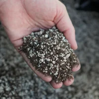 Premium Pre-mixed Succulent Soil