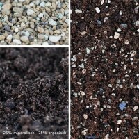 Premium Pre-mixed Succulent Soil