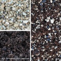 Premium Pre-mixed Succulent Soil