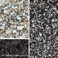 Premium Pre-mixed Succulent Soil