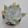 Dudleya brittonii - 12cm